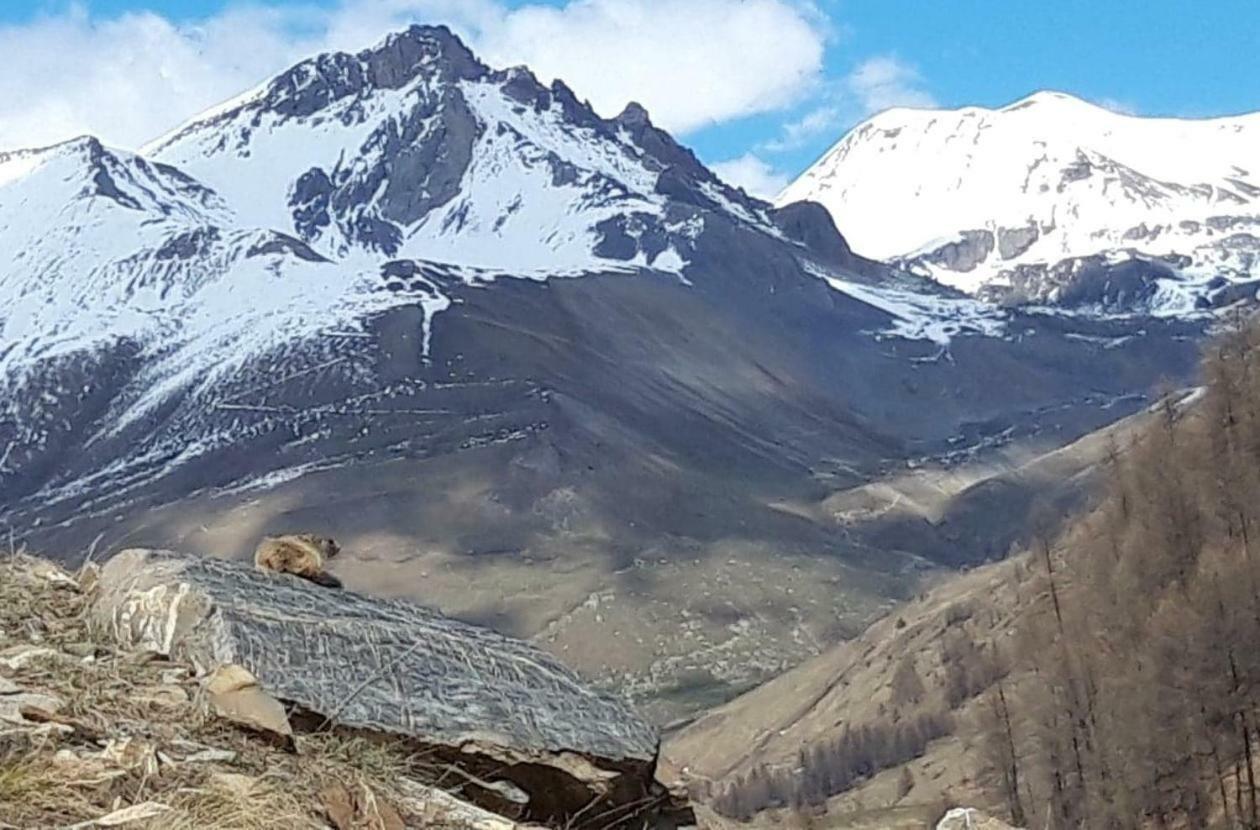 Apartmán Ubaye Liberty Barcelonnette Exteriér fotografie